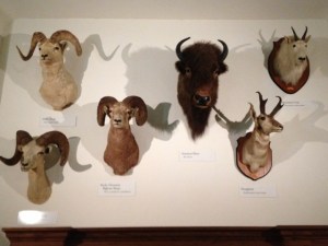 Nobody home, but feels like all the lights are on.