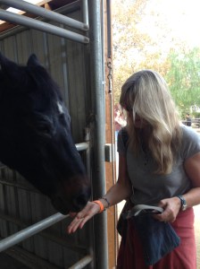 Treating a Gentle Barn giant to a carrot.