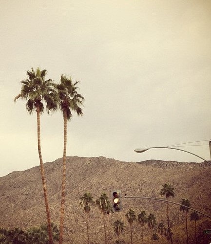 PB Rippey cover photo