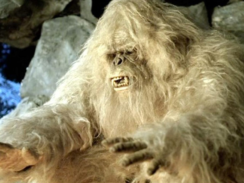 yeti